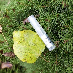 Как украсть миллион?